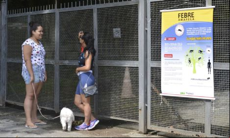 SP volta a registrar mortes por febre amarela ap