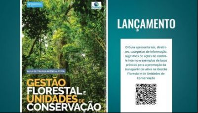 Mato Grosso 