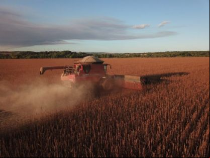 Mato Grosso pode se tornar a s