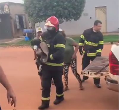 Corpo de Bombeiros resgata cachorro em choque anafil
