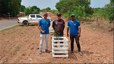 Santa Terezinha recebe 100 mudas de plantas do Viveiro Municipal de Vila Rica para arboriza