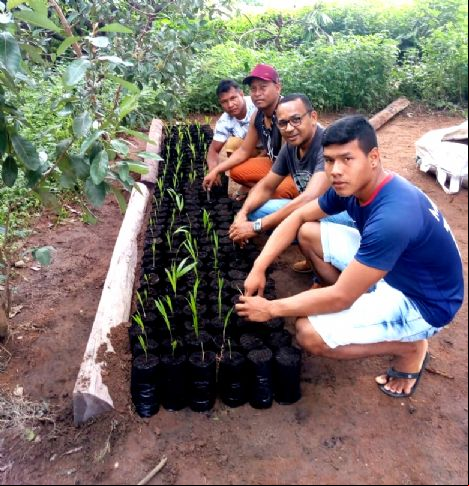 Projeto Sustentabilidade na Aldeia est