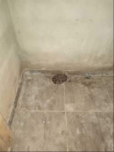 Em dois dias, Bombeiros capturam duas cobras em per