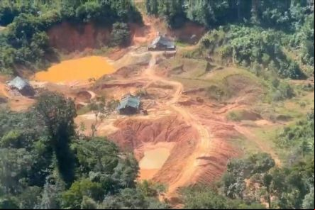 Cooperativas exploram ouro em 