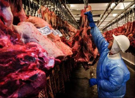 China habilita 38 frigor