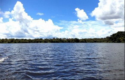 Pesca 