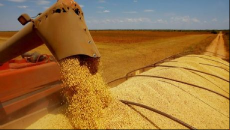 USDA mant